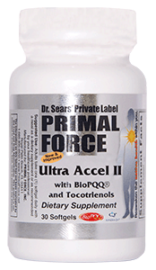 Primal Force's Accel